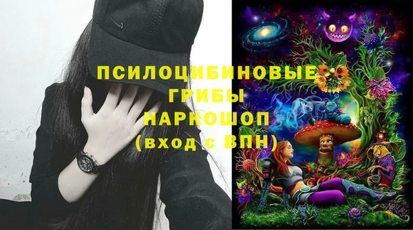 ALPHA PVP Белокуриха