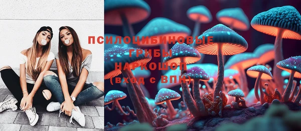 ALPHA PVP Белокуриха