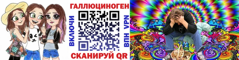 что такое   Пионерский  Псилоцибиновые грибы GOLDEN TEACHER 